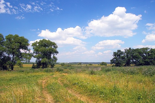 Красота сельских дорог