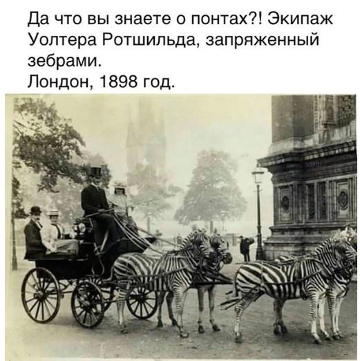 Немного картинок для настроения