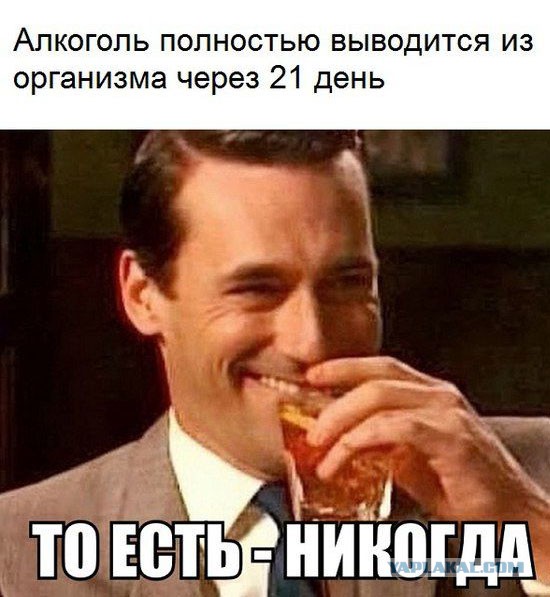 Исследование: алкоголь долго разрушает мозг даже после отказа от него