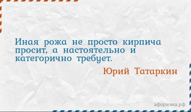 Медведев поручил снизить порог беспошлинного ввоза посылок до €20 к 2022 году