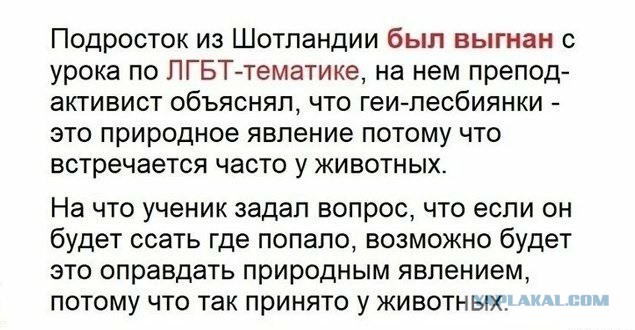 Женские писуары на улице: шок или хорошее решение?
