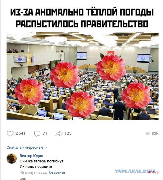 Лучшие комментарии из новости про отставку правительства.
