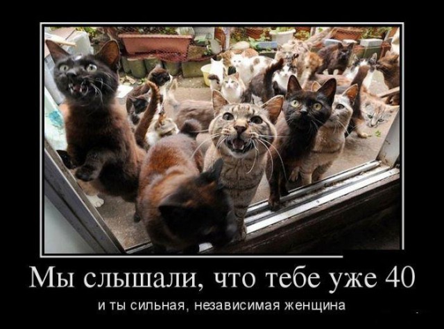 Бредзона