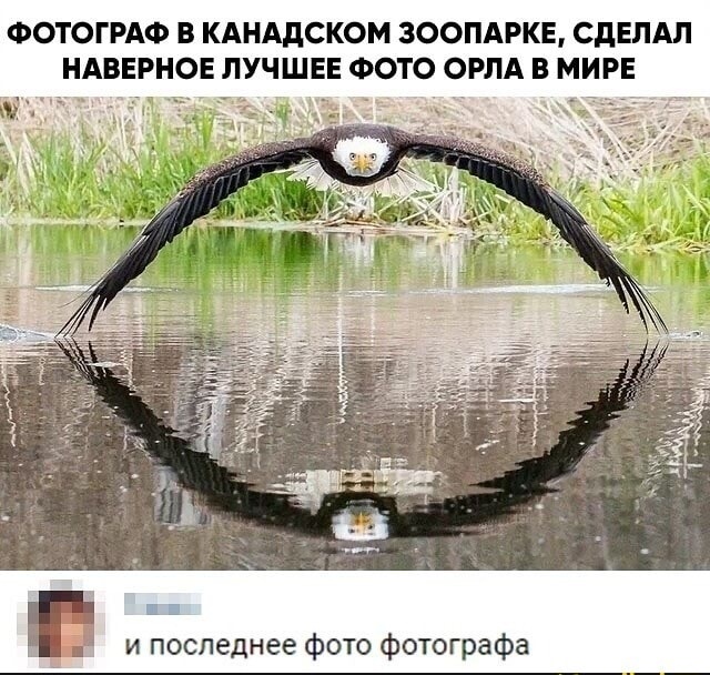 Чуток картинок. Ночные