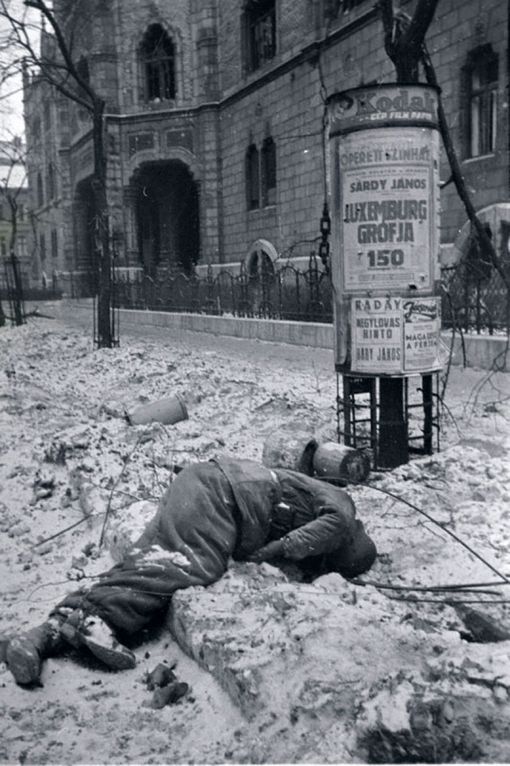 Взятие Будапешта 13 февраля 1945 года.