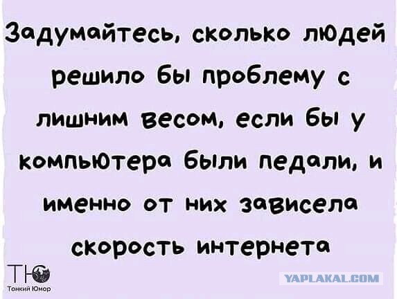 Картинки атавсюду. Часть 4 от 25 февраля 2020