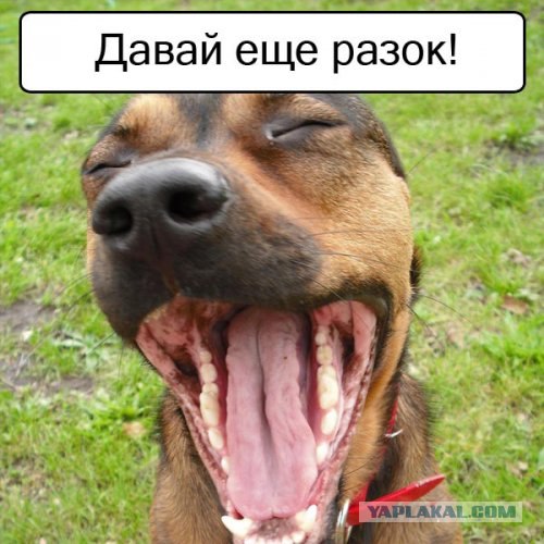 Спорим, зевнешь?))) (28 фото)