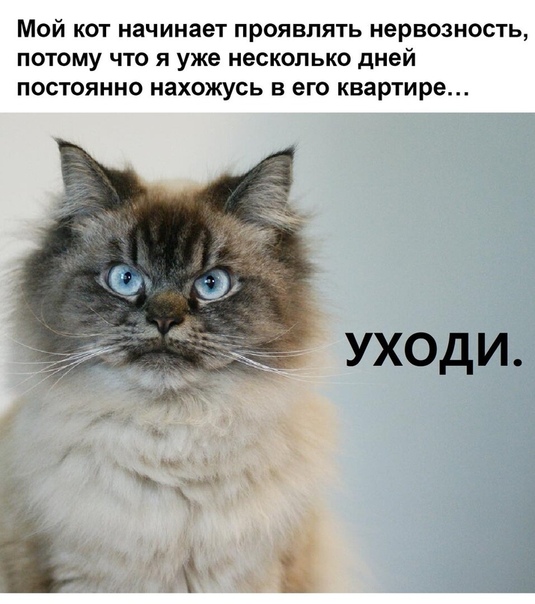 Как это до 30 апреля?