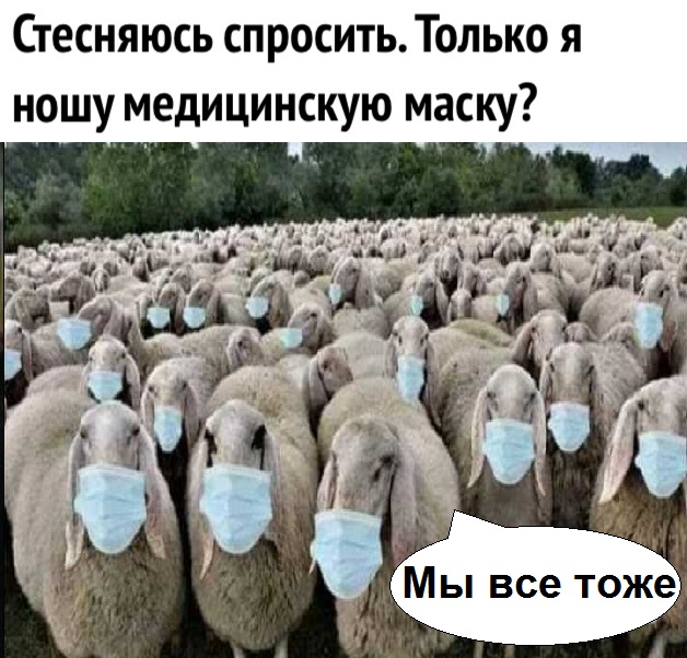 Чуток картинок 25.05.20