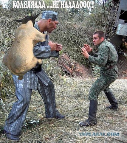 Сказ о том, как Валуев всех побил