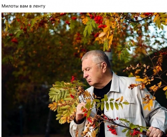 Юмор в картинках 2.11.20