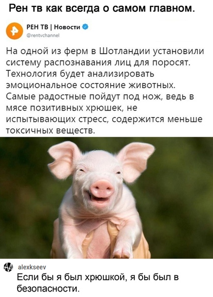 Моя подборка картинок для любимого сайта с любимого сайта