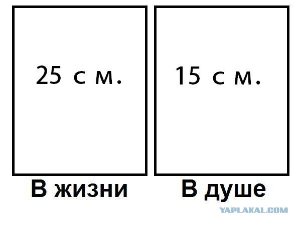 Кто есть кто?