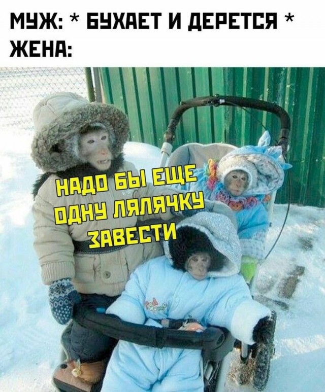 Пятница. И немного слегка пошлых картинок с надписями и без 16+ (02.10)