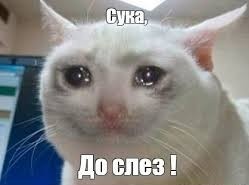 Последний хвост без соли доедаем