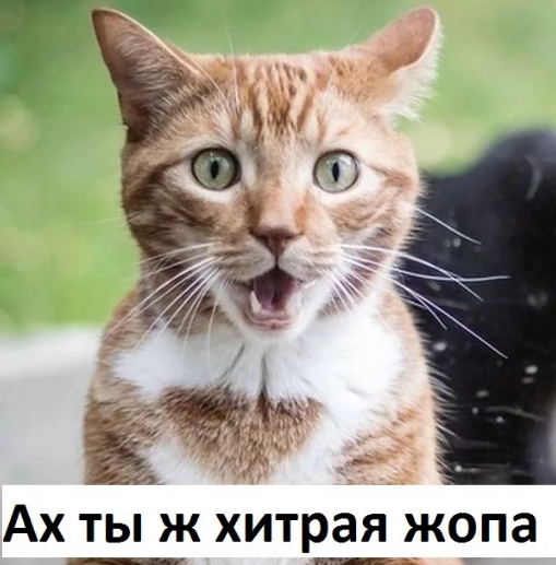 Спички