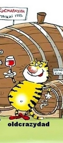 ШутЯПки от tubdoc(a) на ДР ресурса