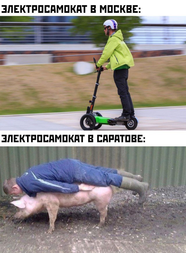 Картинки и мемы 08.10.2021
