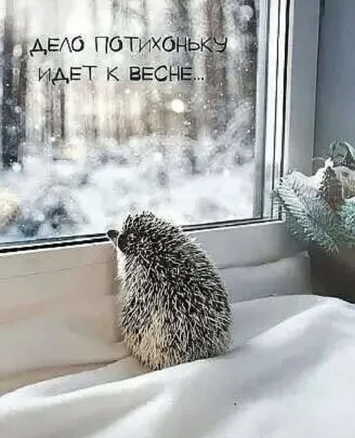 Зачем полные женщины делают маникюр?