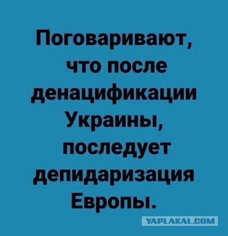 Путин и Макрон провели телефонный разговор