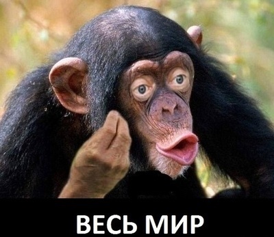 Плач наводчиков в Брилево