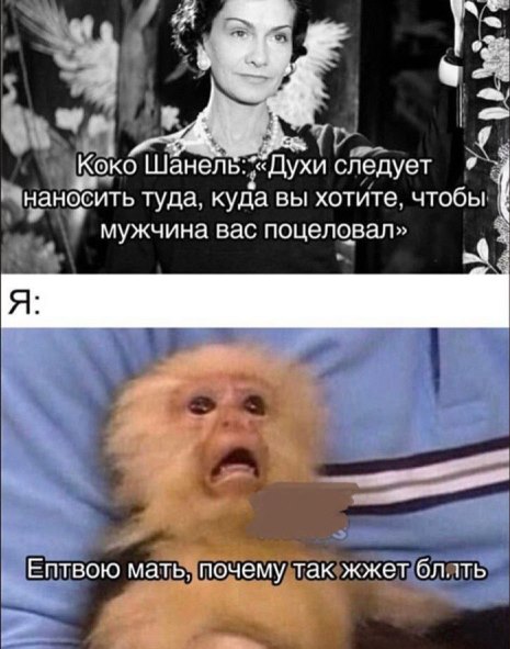 Картинки и мемы для настроения - 17