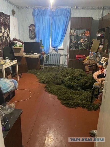 Забавный случай в Белгородской области