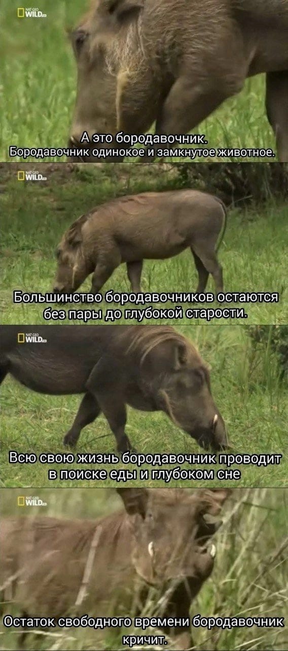 Народная меДИЧина 5010