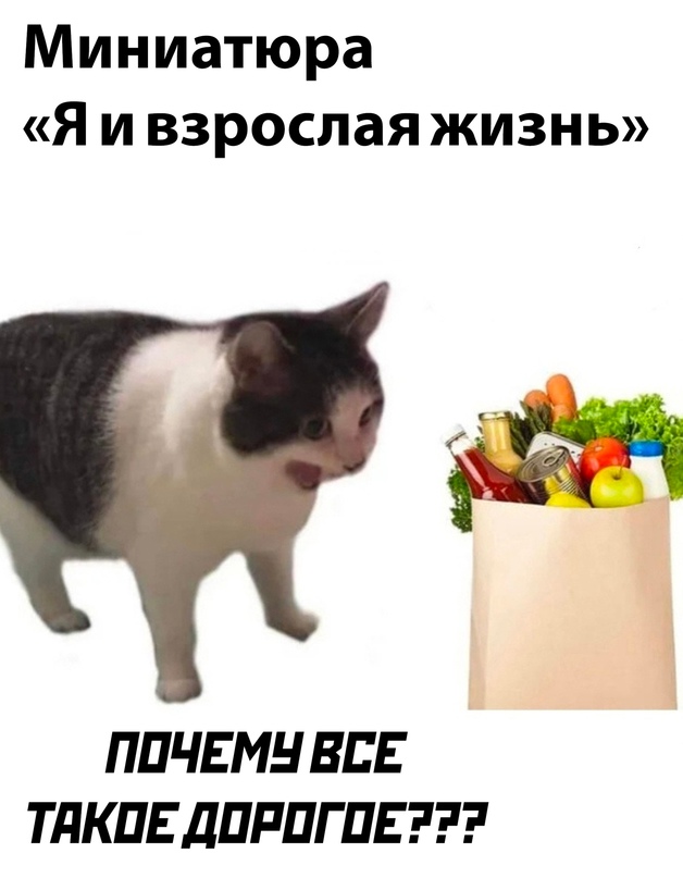 Картинки и мемы, выходные продолжаются