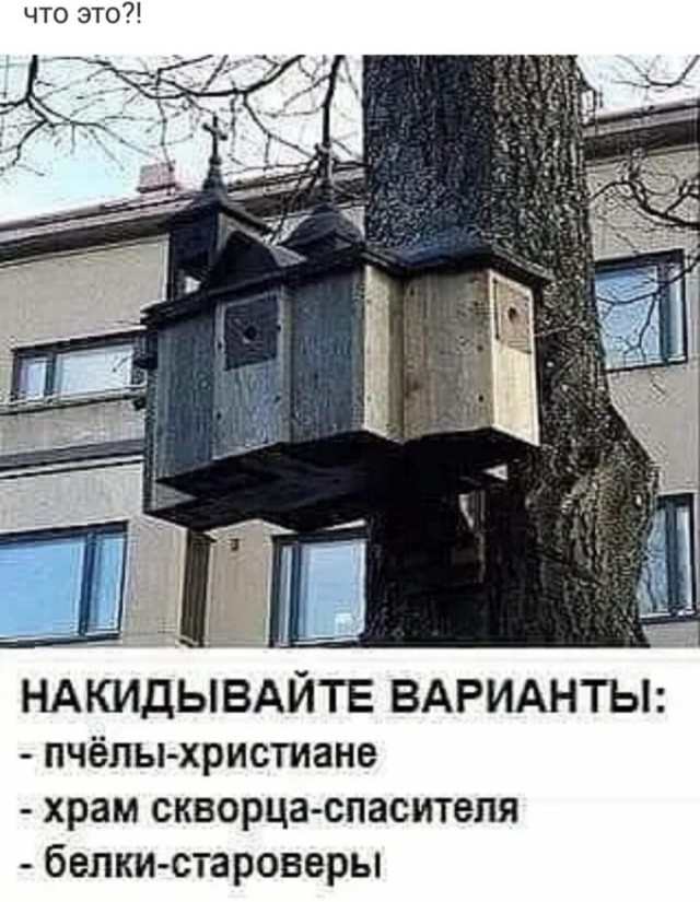 Картинки и мемы для настроения - 015