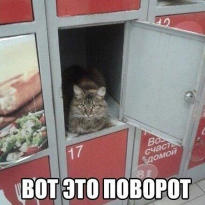 Так себе картинки 01.02.23