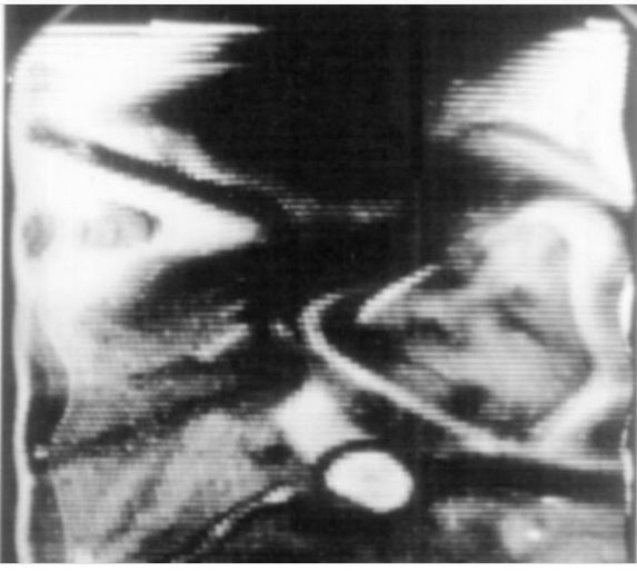 Теория Лунного заговора...