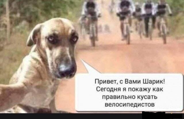 Картинки и мемы, всем хороших выходных