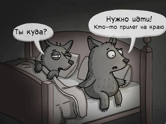 Так себе картинки 22.02.23