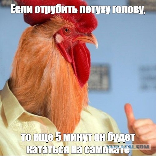 Первый раз беру такую технику. На что обратить внимание?