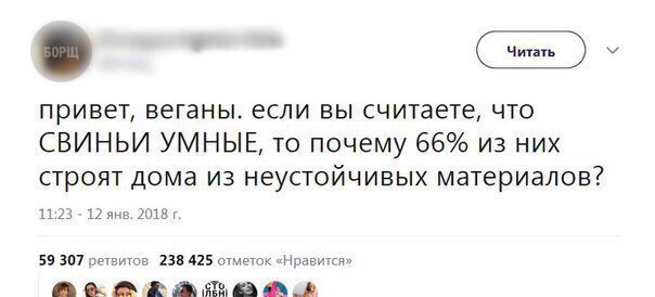 Нуштош 19.04.2023