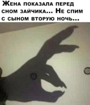 Баяны разной степени давности.