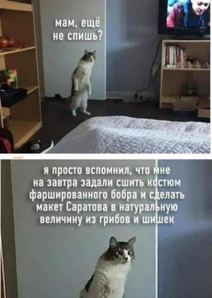 Тлидцать тли от 7 маЛта