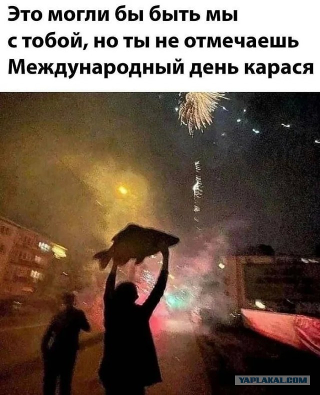 Весёлый полтишок 22.04.24