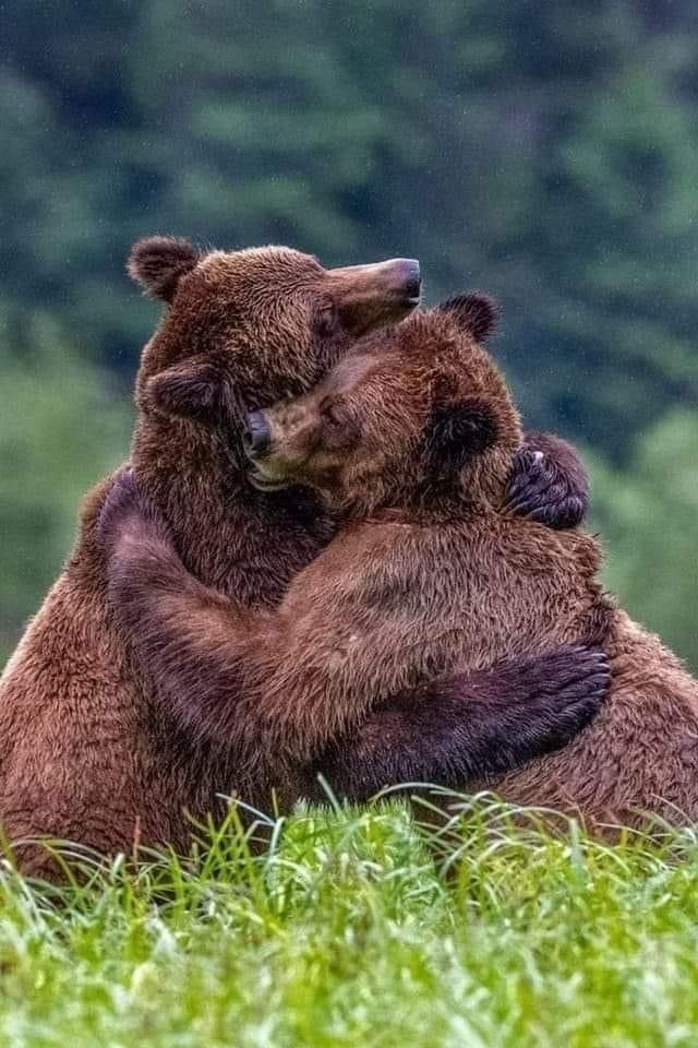 ФотоВинегрет
