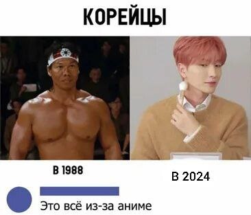 Милонов назвал анимешников ненормальными