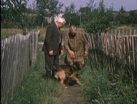 Манипуляторы