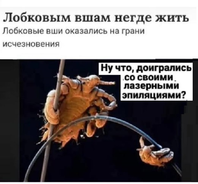 Картинки разные с надписями и без