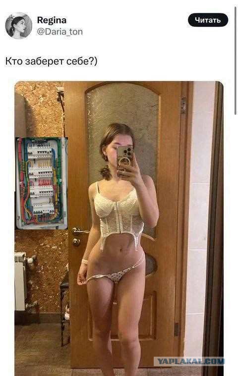 Кто заберёт?