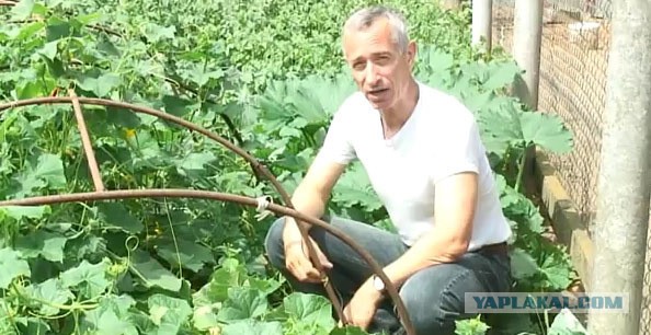 В Подмосковье завёлся фекаловый мститель