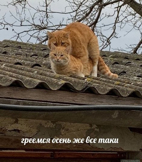 Напомню