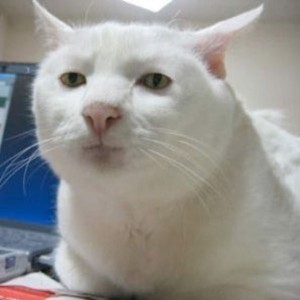 Неприятный пост