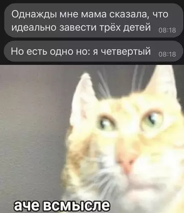 Картиночки, баянчики 13 февраля