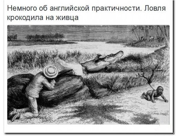 Зурита играет с питомцем