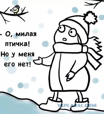 Про синичку и жирную жопу